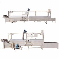 Semi automatic professional continuous food boiling/cooking line equipment
