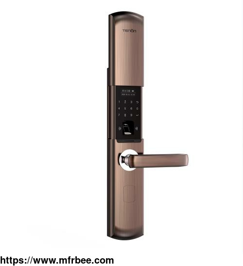 t109_physical_and_digital_access_oled_screen_automatic_sliding_smart_lock