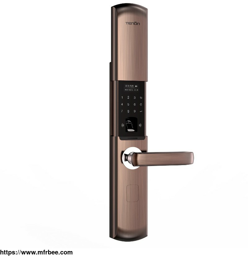 t109_physical_and_digital_access_oled_screen_automatic_sliding_smart_lock