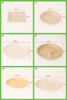 more images of Eco friendly biodegradable sugarcane plates bagasse disposable paper plate