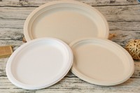 one time usable plates bowls containers made of sugarcane bagasse