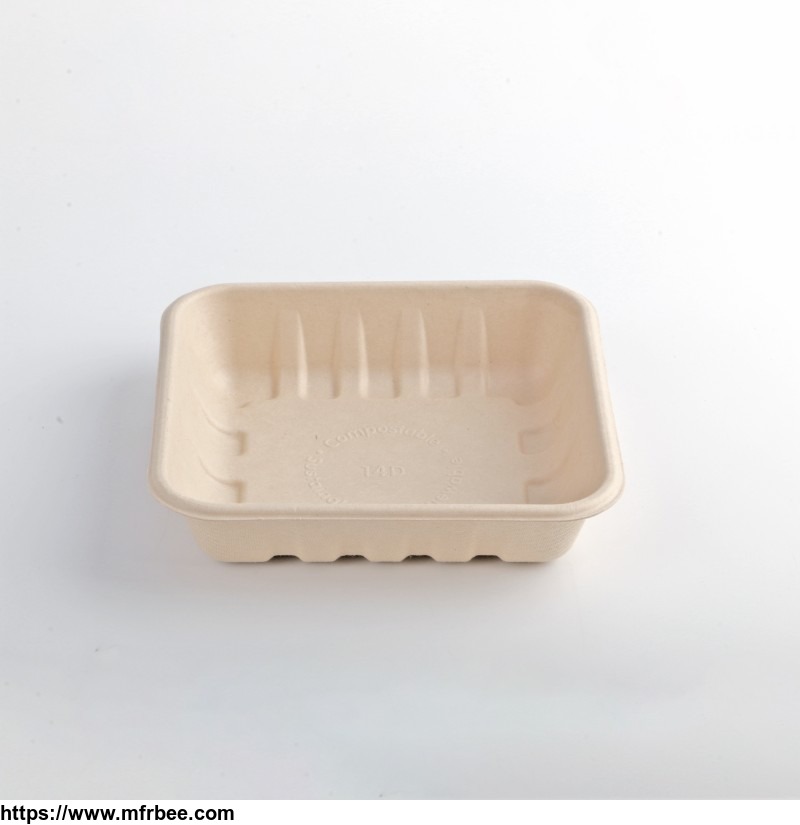 100_percentage_biodegradable_disposable_white_bagasse_sugarcane_plates_for_bbq