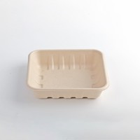 100% Biodegradable disposable white bagasse sugarcane plates for BBQ