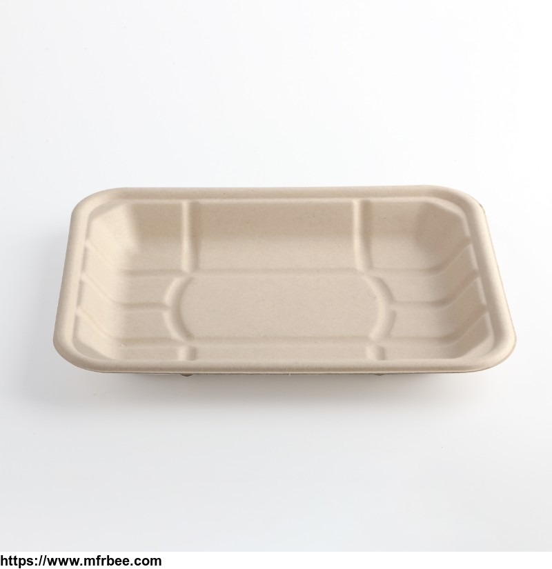 bagasse_container_bagasse_container_takeaway_disposable_sugarcane_bagasse_food_container_with_lid