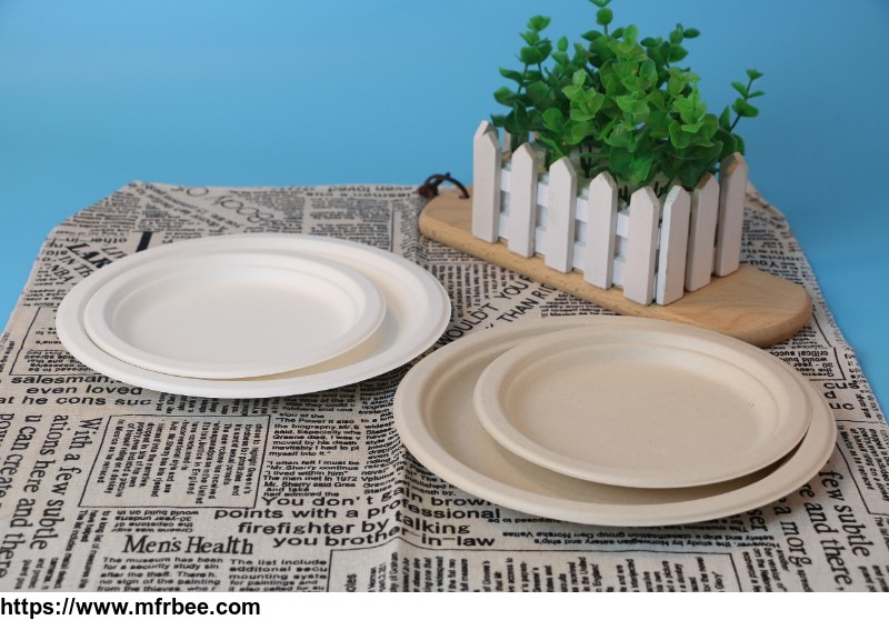 biodegradable_paper_pulp_lunch_container_sugarcane_bagasse_food_container_disposable_tableware