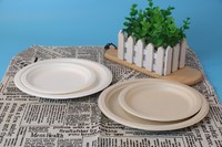 Biodegradable Paper Pulp Lunch Container Sugarcane Bagasse Food container Disposable Tableware