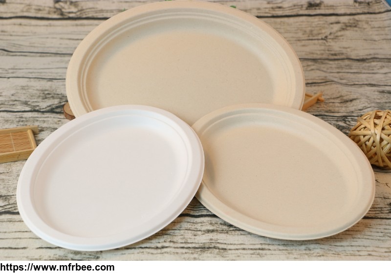 disposable_bagasse_biodegradable_paper_food_container_1000ml