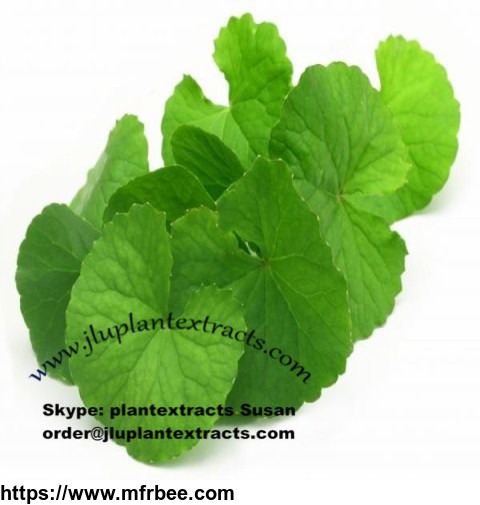 top_quality_hydrocotyle_asiatica_extract_order_at_jluplantextracts_com