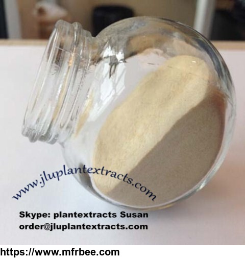 best_price_of_chitosan_raw_powder_order_at_jluplantextracts_com