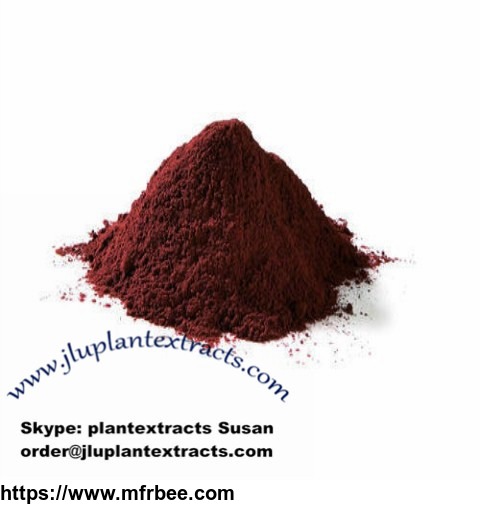 high_quality_grape_seed_extract_powder_best_price