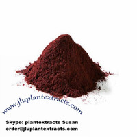 High Quality Grape seed extract Powder Best Price