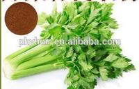 Celery Extract Powder