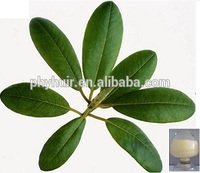 more images of Loquat Leaf Powder Extract
