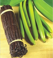 more images of vanilla bean extract