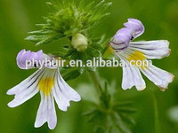 more images of Eyebright extract