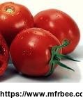 tomato_extract