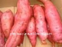sweet potato extract