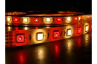 rgbw led strip lights Hot-sale RGBW LED Strips 5050SMD High Lumens 18-20lm