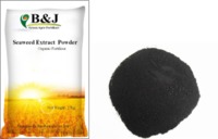 Seasweed Extract Powder