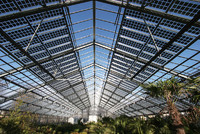 more images of Adjustable waterproof solar ground mounting system for solar farm or PV agricultural greenhouse
