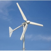 Custom Electric Generator 2kw/3kw/5kw Wind Turbine