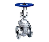 more images of STAINLESS STEEL GATE VALVES