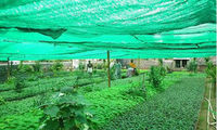 more images of Hdpe Raschel Knitted Agriculture Shade Windbreak Netting