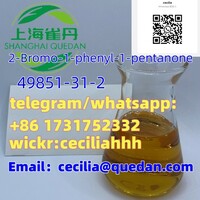 High purityCAS: 15883-20-2N-(2,6-Dimethylphenl)-2-Piperidine Carboxamide+86 17317523329