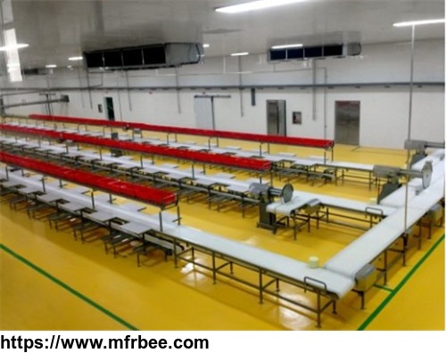 china_automatic_high_quality_safety_new_type_food_bag_packing_belt_conveyer_line