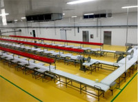 more images of China automatic high quality safety new type Food bag packing belt conveyer line