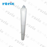 Water Filter element SGLQB-1000 for  Power Generation