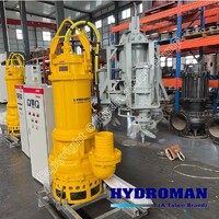 more images of Hydroman® Submersible Sludge Sewage Pump for WWTP with Control Panel