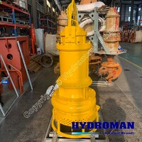 Hydroman® Submerged Slurry Sump Agitator Electric Driven Pump