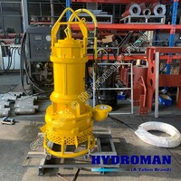 Hydroman® Electric Submersible Bottom Ash Slurry Dewatering Pump