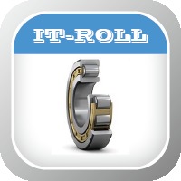 more images of Cylindrical roller bearing