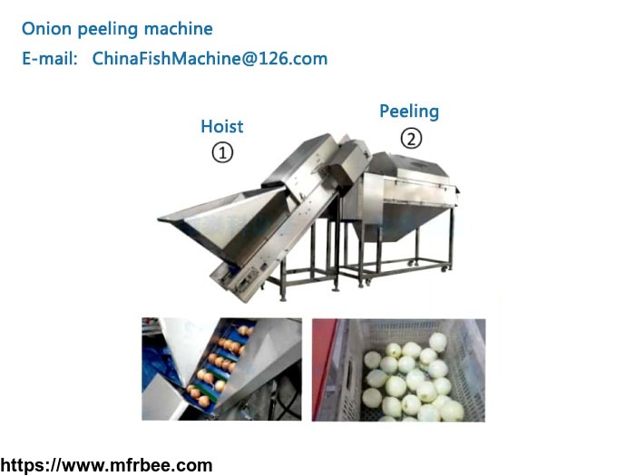 onion_peeling_machine_onion_peeler_machine