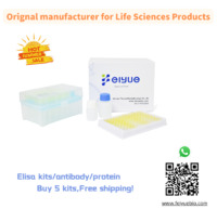 Human 5-MTHF(5-Methyltetrahydrofolate) ELISA Kit