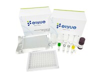 more images of Mouse TNF-α(Tumor Necrosis Factor Alpha) ELISA Kit