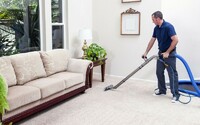 Best Carpet Cleaning Gold Coast