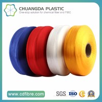 High Tenacity Color Multifilament FDY PP Yarn for Webbing Rope