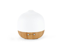 more images of How to Use an Electric Aroma Diffuser?