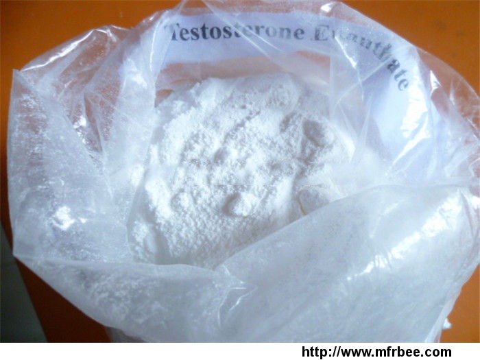 testosteroneenanthate_test_e_muscle_building_steroids_powder
