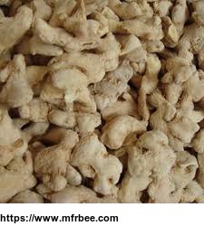 ginger_dried_