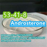 CAS 53-41-8 Androsterone