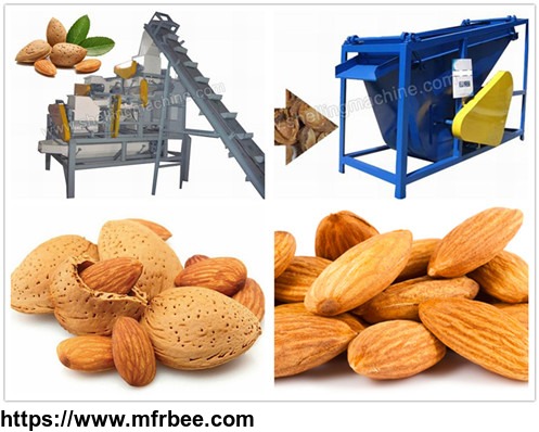 almond_cracking_and_separating_line_1000_kg_h_