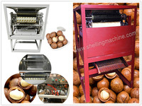 more images of Macadamia Nut Cutting Machine