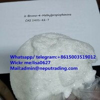 Sell 2-Bromo-4'-methylpropiophenone CAS 1451-82-7 Whatsapp:+8615003519012