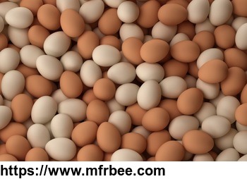 Fresh Chicken White , Brown Eggs