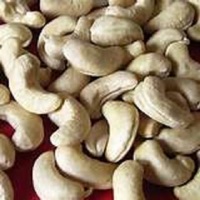 W320  Cashew nut