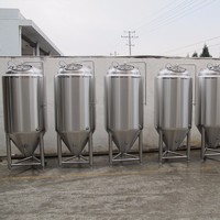 600L micro brewery equipment for hotel and restaurant,600l fermentation tank